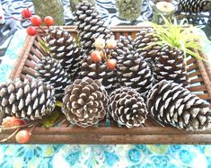 Pinecone Ornaments, Snow Painted Holiday Pinecone Ornaments, Winter Pinecone Decorations, Painted Pinecones, Norway Spruce Decorated Hangers - Etsy Winter Wedding Diy, Pinecone Decorations, White Pine Cone, Norway Spruce, Wedding Home Decor