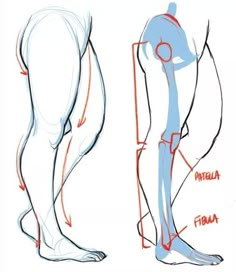 an image of a man's legs and leg muscles with the words, how to draw