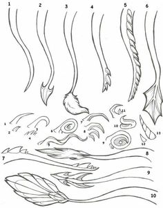 Mermaid Tails, Arte Sketchbook, Concept Art Drawing, Dragon Drawing, Creature Concept Art, Drawing Tutorials, Art Tutorials Drawing, Dragon Art