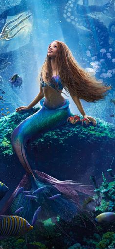 a mermaid sitting on top of a rock in the ocean next to other sea creatures