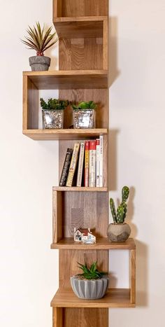 three wooden shelves with plants and books on them