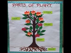 the parts of a plant made out of paper