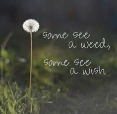 perspective A Dandelion, Inspirational Quotes Pictures, E Card, Wonderful Words, Quotable Quotes, Encouragement Quotes, A Quote, Inspirational Quotes Motivation, Cute Quotes