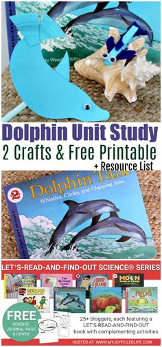 the dolphin unit study is an easy and fun way to learn how to read dolphins