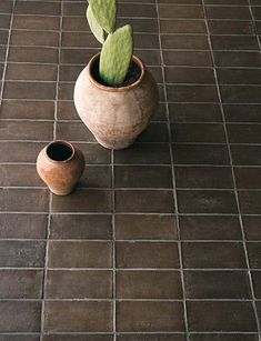 a potted plant sitting on top of a tile floor next to a small vase