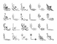 a set of decorative designs for the design of letters and numbers, such as leaves