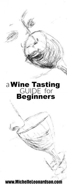 a wine tasting guide for beginners