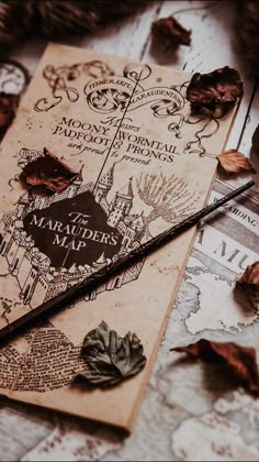 an old harry potter map is laying on the ground with some leaves scattered around it