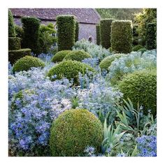 the garden is full of blue flowers and green bushes, with an old building in the background