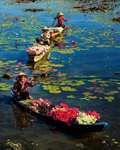 two people in boats with flowers floating on the water