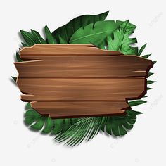 a wooden sign surrounded by tropical leaves on a white background, frame, border, leaf png and psd