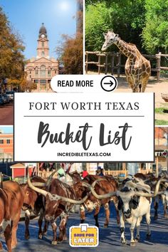 the fort worth texas bucket list with pictures of animals and people walking around in it