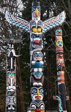 totems are lined up in the woods with trees behind them and one bird is perched on top