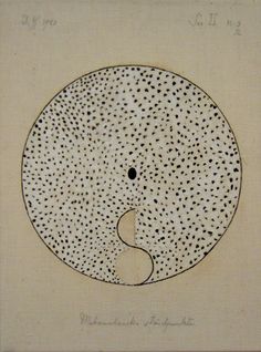 a white plate with dots on it and a black dot in the middle