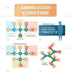 an info poster showing the different types of vitamins and their effects on the body