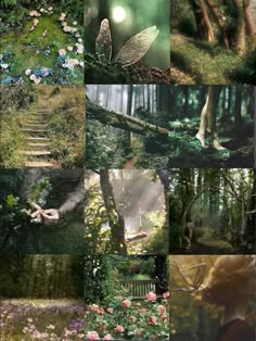 a collage of photos with flowers, trees and animals in the woods on them