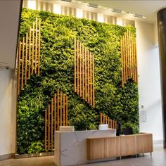 an office with a wall covered in green plants