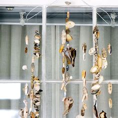 several shells hanging from the side of a window