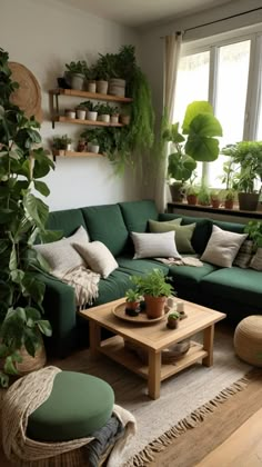 a living room filled with lots of plants and furniture