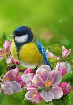 a blue bird sitting on top of a tree filled with pink and white flowers next to green leaves