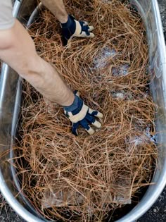 a person wearing blue and white slippers standing in a metal tub filled with hay