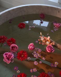 a person holding a bottle in a bath filled with flowers