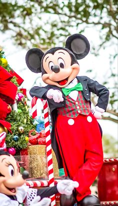 mickey and minnie mouse in front of christmas decorations