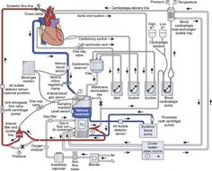 an electrical wiring diagram for the heart and blood pressure system, with instructions on how to use it