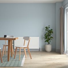 a dining room table with two chairs and a potted plant in the corner next to it