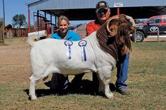 a man and woman pose for a photo with a goat