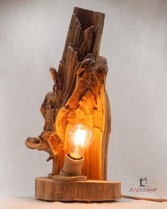 a light that is sitting on top of a wooden stand with a tree stump in the background