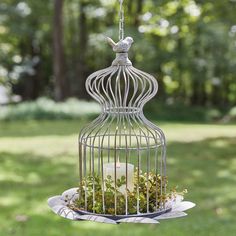 a birdcage filled with white flowers and greenery