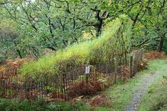 a wooden fence surrounded by trees and grass