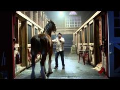 a man standing next to a horse inside of a stable with another person in the background