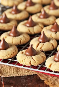 some cookies with chocolate on top are cooling on a rack in front of other cookies