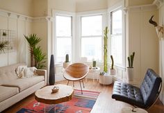 a living room filled with furniture and potted plants