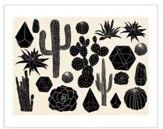 black and white illustration of cactuses, cacti and other plants on a beige background