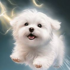 a white dog flying through the air with lightning in the sky behind it's head