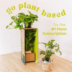 a plant in a cardboard box next to a sign that says go plant - based try the 1 plant subscripion