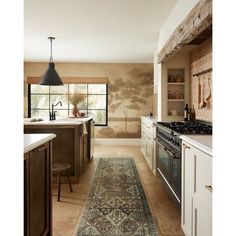 a kitchen with an area rug in front of the stove and counter top, along with cabinets