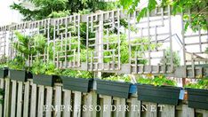 the fence is made of wood and has many plants growing on it's sides