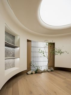 an empty room with wooden floors and a tree in the corner on one side of the wall