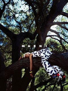 a woman laying on top of a tree branch