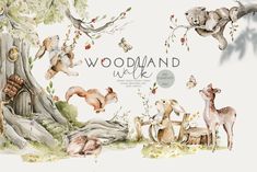 watercolor painting of woodland animals and trees with the words woodland walk written above them