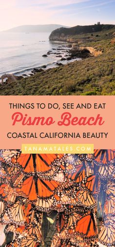 the ocean with text overlaying things to do and eat in pima beach, costa california beauty