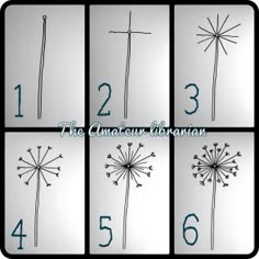 the instructions for how to draw a dandelion