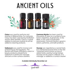 Christian Facts, Common Myrtle, Alternative Medicine Holistic Healing, Biblical Times, Essential Oils 101, Infused Oil, Essential Oils Health, Love Oil