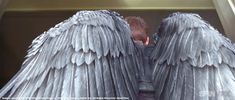 two large gray angel wings sitting next to each other