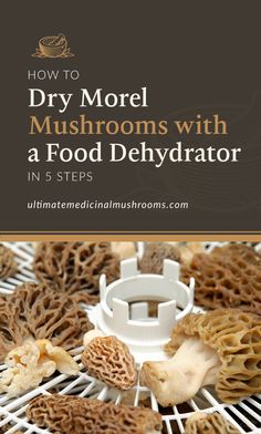 how to dry more mushrooms with a food dehydraator in 5 steps - cover