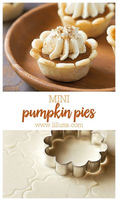 mini pumpkin pies on a plate with the words mini pumpkin pies above them